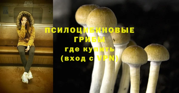 мет Баксан