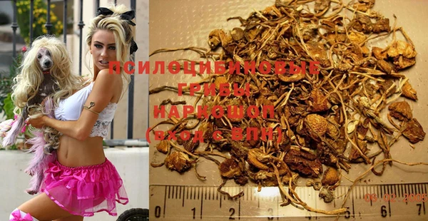 мет Баксан